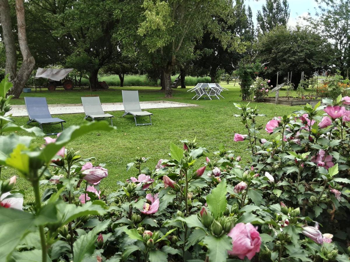 Gite " Les Tourterelles" Thaims エクステリア 写真